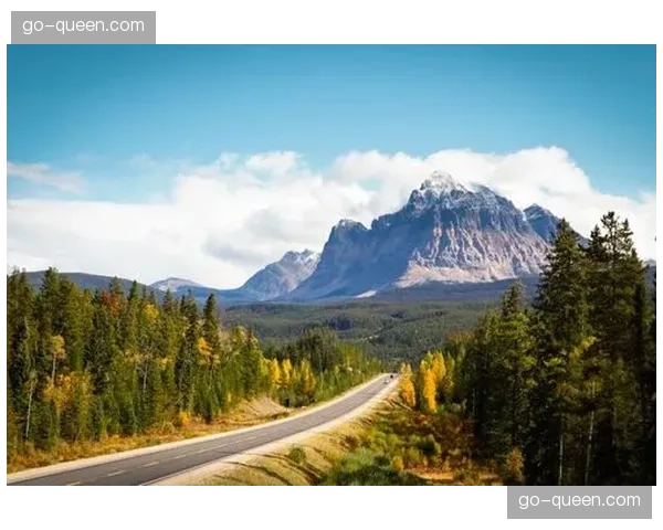 通讯：一位加拿大裔法甲数据工程师，如何为北美博彩公司提供实时数据支持